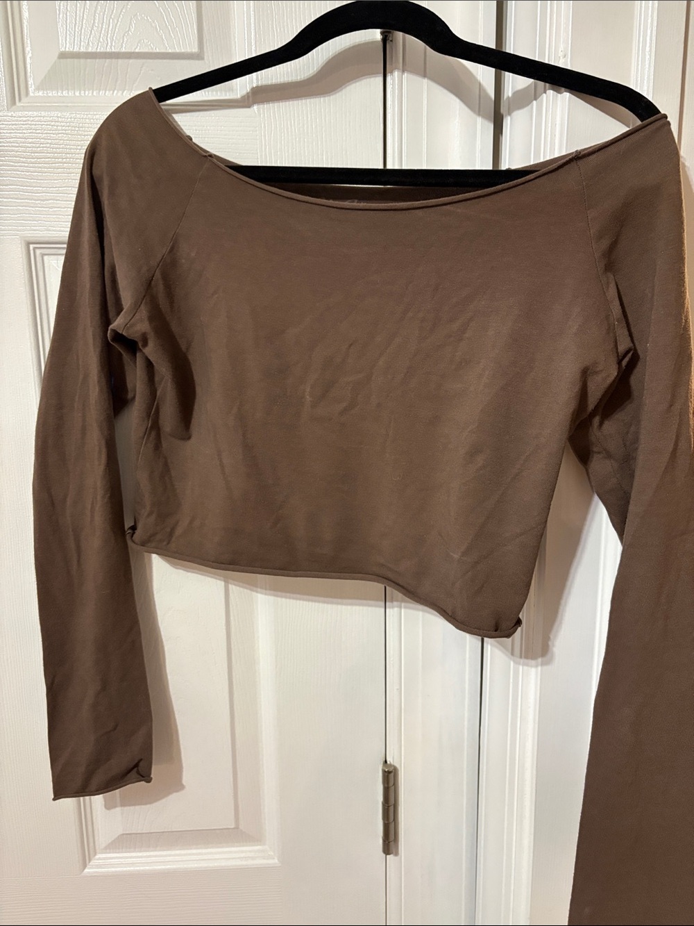 Brandy Melville Brown Long-Sleeve Crop Top